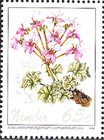 1994 Pelargonium cortusifolium, Namibia