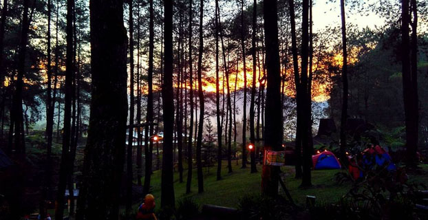 Grafika Cikole Lembang Camping Ground, Camping Keluarga, Camping Massal, Urban Camp - Paket Gathering Outing Outbound Bandung