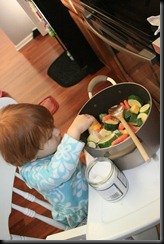 Cooking & Feeding Birds 022