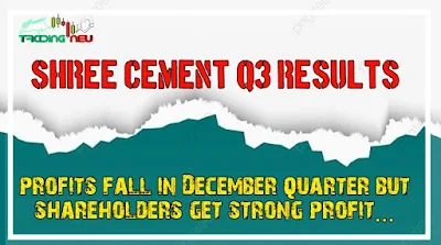 Shree Cement Q3 Results: Profits fall in December quarter, but shareholders get strong profit - 450% dividend