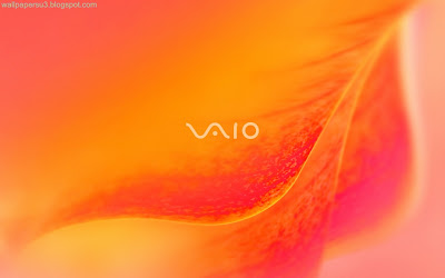 Sony VAIO Standard Resolution Wallpaper 6