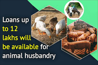 Animal-Husbandry