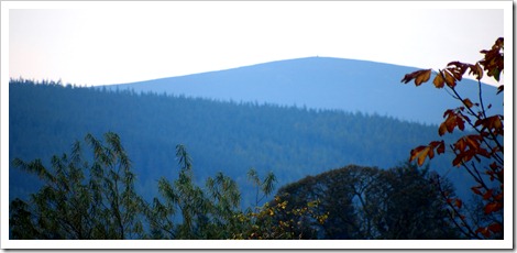 Morning Hill 1
