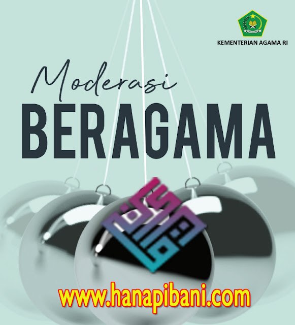 www.hanapibani.com