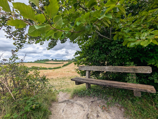 The bench-with-a-view along the Icknield Way