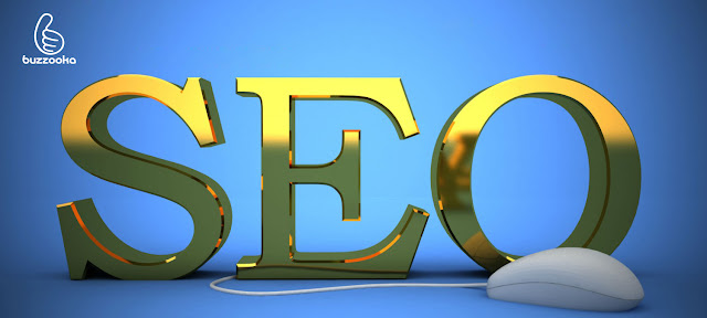 SEO Packages In Delhi 