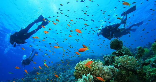 Pemandangan Bawah Laut Pulau Maspari 