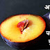 कब्ज से राहत देने वाले आलूबुखारा (plum) खाने के फायदे और नुकसान 