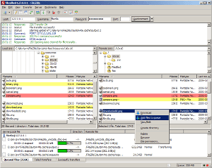 FileZilla Pro 3.62.2 Free Download - EGYDOWN [Both x64 & x86]