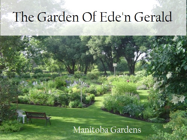Garden of Eden Gerald