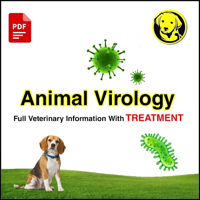 Free Download Animal Virology Full Pdf