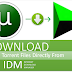 How to download Torrents With Internet Download Manager
