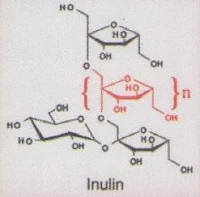 Inulin