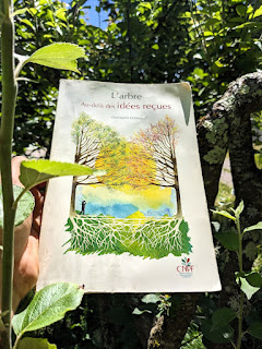 L'arbre, au-delà des idées reçues - Christophe Drénou
