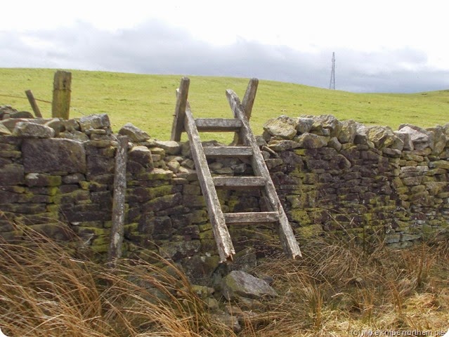 allendale comedy stile