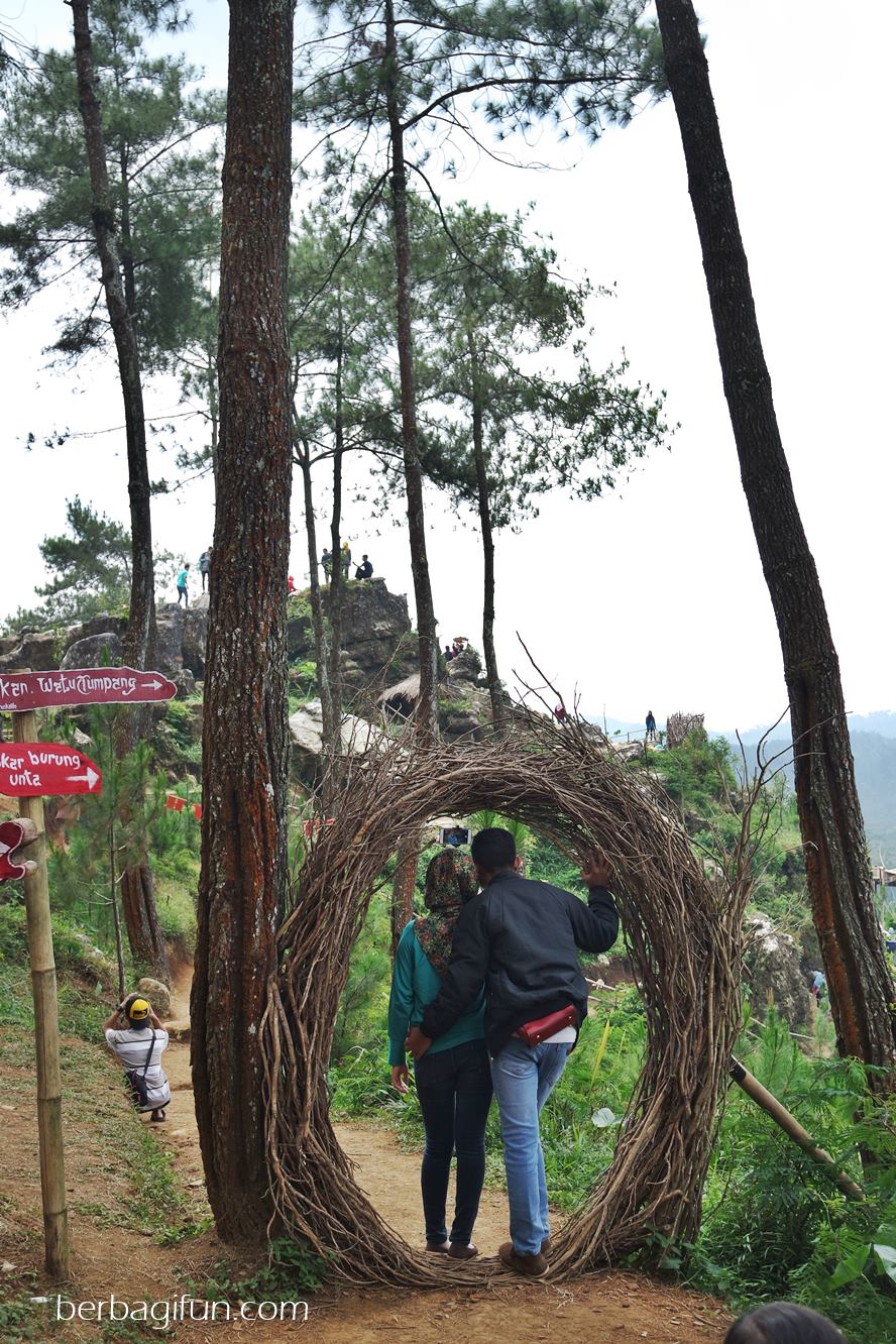 Ada Watu Tumpang Di Hutan Pinus Kalilo Jalan Jalan Makan Makan