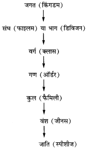 Solutions Class 11 जीव विज्ञान Chapter-1(जीव जगत)