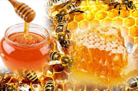 The Benefits and Efficacy of Honey