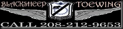 BST WINGS