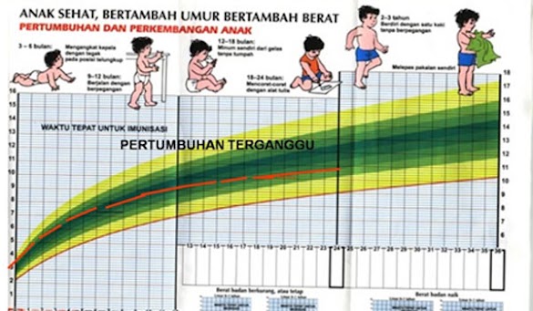 Makna Pertumbuhan dan Perkembangan Anak Usia Dini