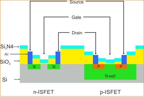 Prinsip Kerja ISFET - Ion Sensitive Field-Effect Transistor