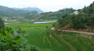 Trekking por Sapa.