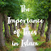 What is Islam’s perspective of trees?