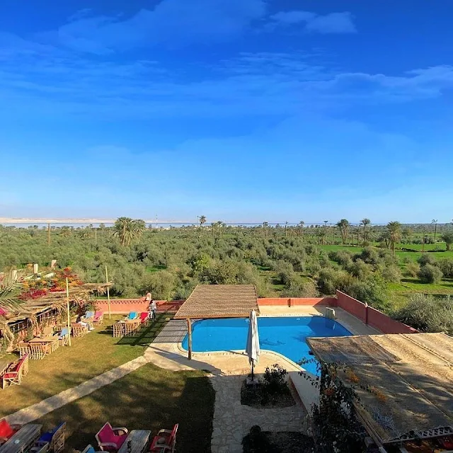 Olive Tree Lodge Tunis village El Fayoum