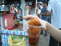 ilocos sur beaches