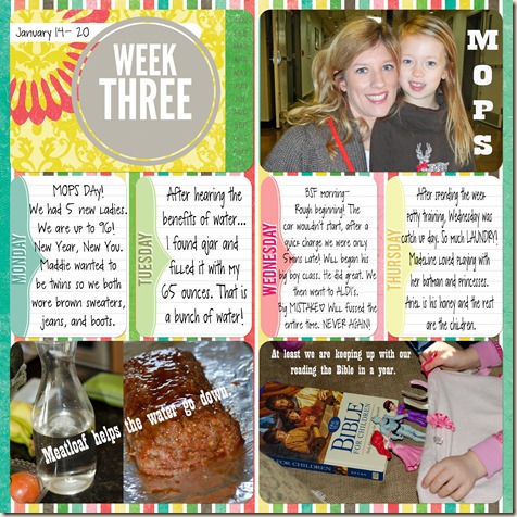 week 3a copy