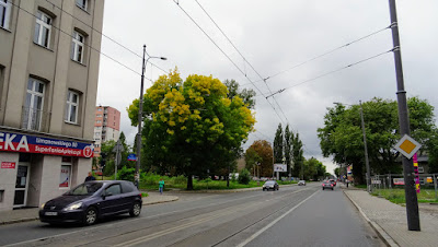 Zdjęcie: