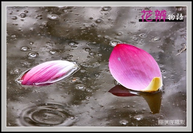 x_MG_5392c