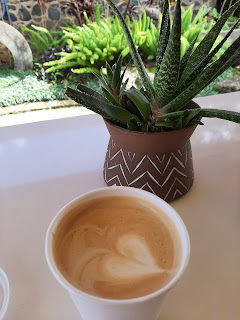 Latte with heart design in front of clay pot containing aloe plant