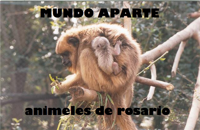 Mundo Aparte