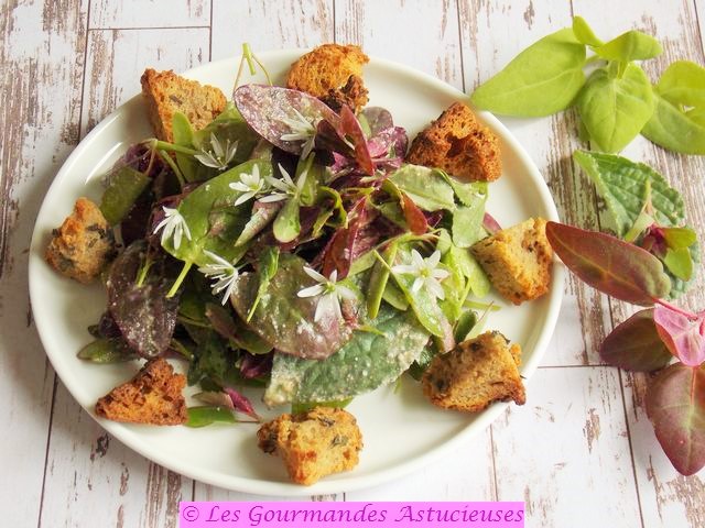 Salade de pousses de plantes sauvages et ses croûtons sans gras (vegan)