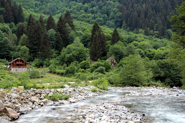 çamlıhemşin