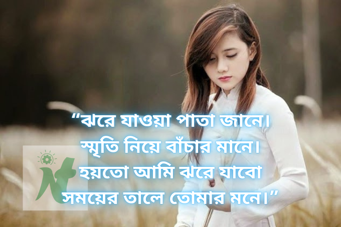 কষ্টের স্ট্যাটাস পিকচার - koster status