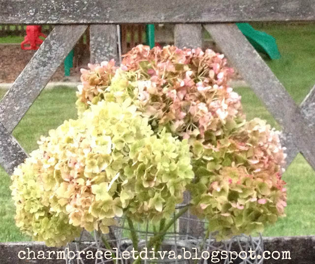 dried hydrangeas vintage milk bottles