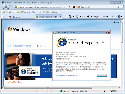 with Internet Explorer 8