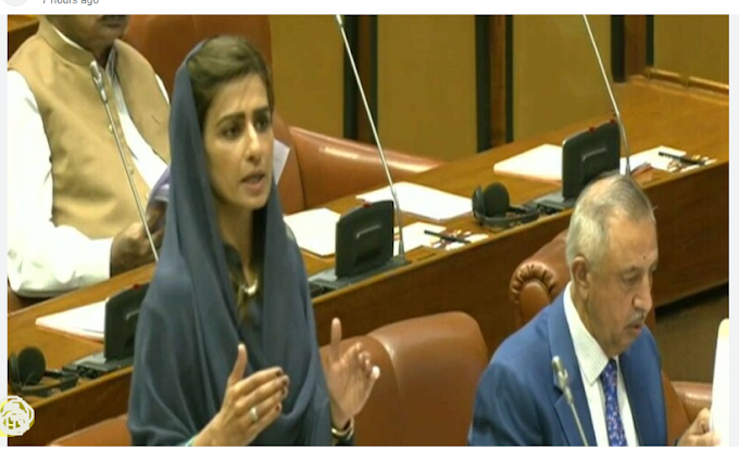  Senate Approves National Financial Crimes Authority