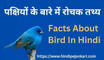 Facts About Birds In Hindi