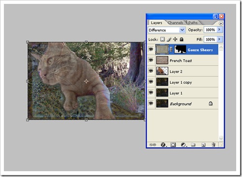 Aslan_screen_shot
