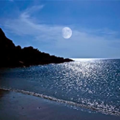 Are You Born Under The Sign Of The Moon Child