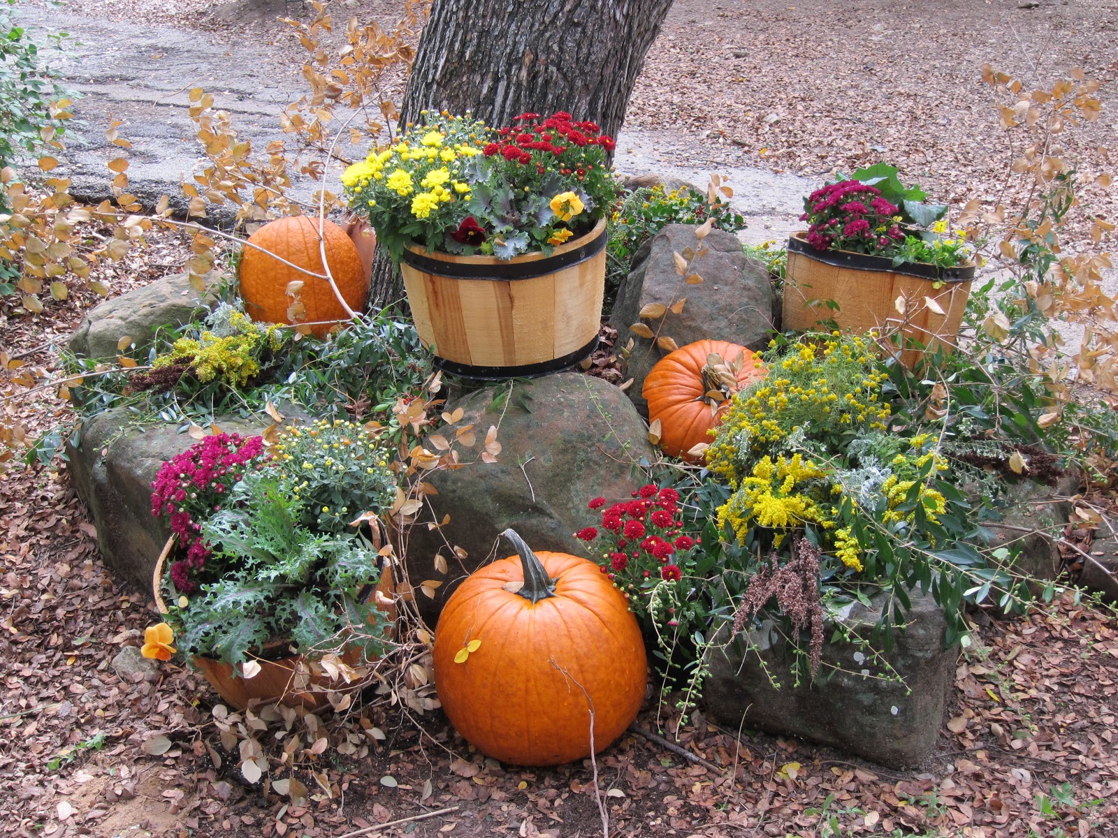 Blog Cabin Village: Gardening tips for October