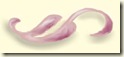 scroll 2