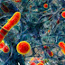 Quorum Sensing: A Way of Communication Between Bacteria for Virulence, Biofilm Production & Antibiotic Resistance