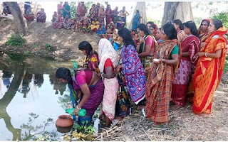 মনিরামপুরে সাপ আতংকে নির্ঘূম রাত কাটাচ্ছে বানভাসীরা