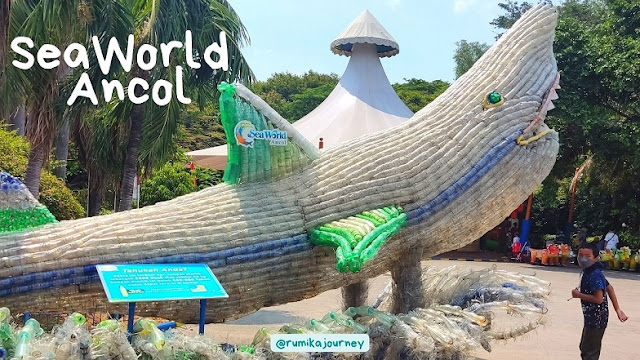 seaworld-ancol-jakarta