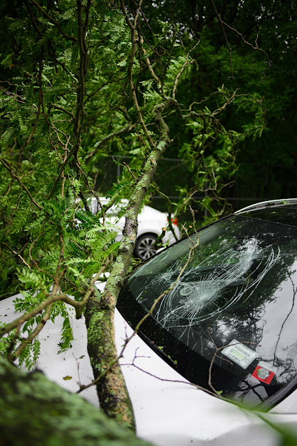 Car after accident with tree: Photo by Michael Jin on Unsplash