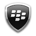 Download BlackBerry Protect